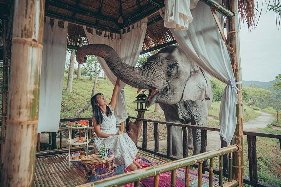 Chiang Mai, Elephant village, Thailand