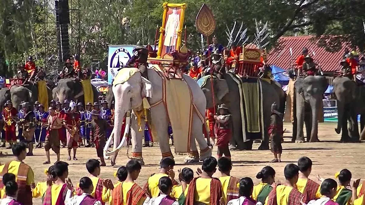 Surin Elephant Festival, Thailand