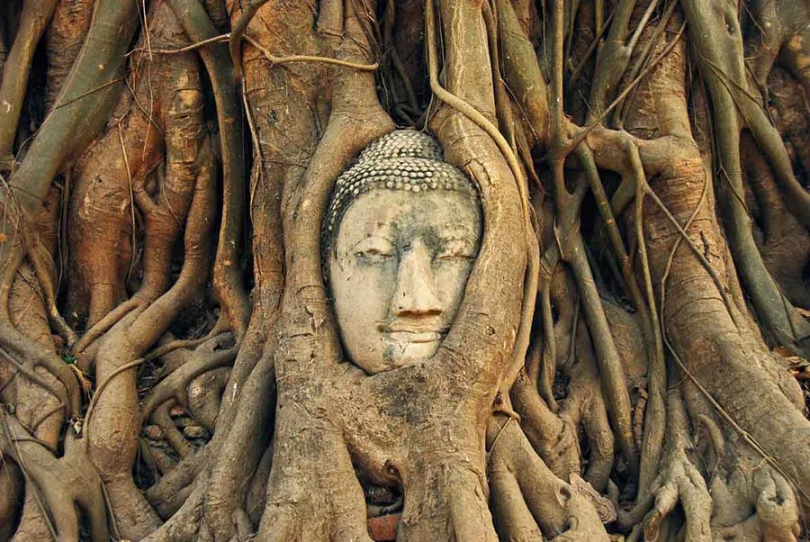 Wat Mahathat, Ayutthaya, Thailand